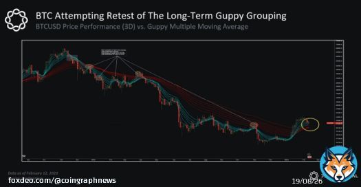 ANALYSIS: According to Delphi Digital, #Bitcoin's BTC Guppy tool has turned bullish for the first time in over a year, which could be a sign of a significant price increase.