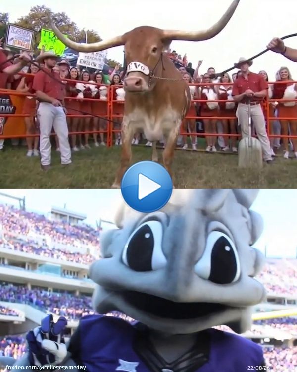 Week 11: AUSTIN    9-0 TCU is headed into a big road test as the Horned Frogs look to continue their perfect streak    @TCUFootball | @TexasFootball