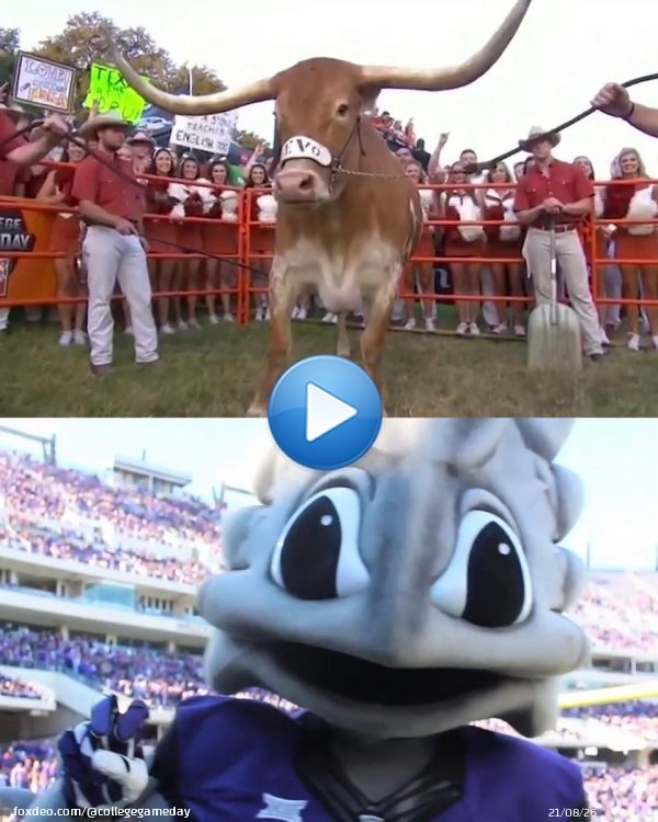 Week 11: AUSTIN    9-0 TCU is headed into a big road test as the Horned Frogs look to continue their perfect streak    @TCUFootball | @TexasFootball