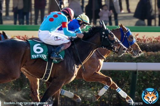 レモンポップ 戸崎圭太騎手 ギルデッドミラー 三浦皇成騎手 好きなふたりの競り合いがかっこよかった レモンポップ重賞初制覇おめでとう