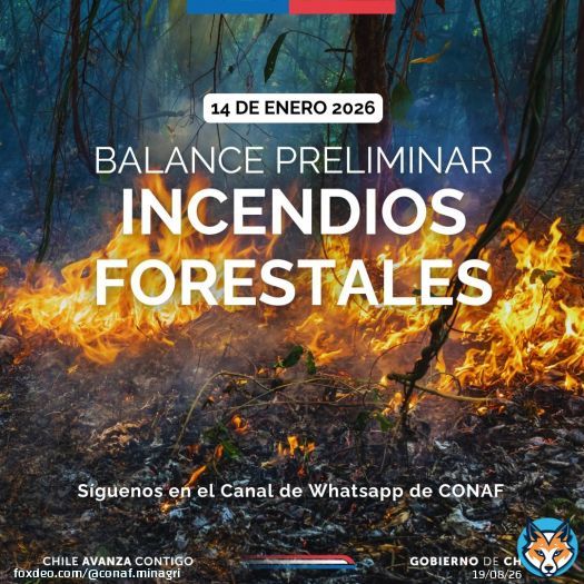 #BALANCE | Hasta las 15:00 horas, 10 incendios forestales que están en combate por equipos de CONAF y de emergencias de otras instituciones. Les compartimos información de los que se encuentran con alerta roja: Región del Biobío: - Incendio Tranicura, comuna de Tirúa. -Show more