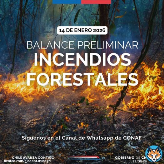 #BALANCE | Hasta las 15:00 horas, 10 incendios forestales que están en combate por equipos de CONAF y de emergencias de otras instituciones. Les compartimos información de los que se encuentran con alerta roja: Región del Biobío: - Incendio Tranicura, comuna de Tirúa. -Show more