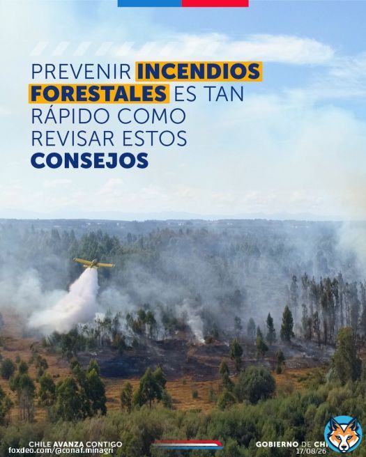 Entre todas y todos podemos prevenir los #IncendiosForestales Revisa estos consejos y siempre llama al 130 de @conaf_minagri si ves humo o fuego al aire libre.