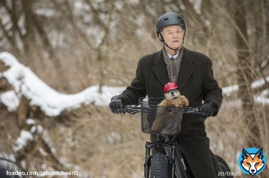 Happy Bicycle Groundhog Day to all who celebrate