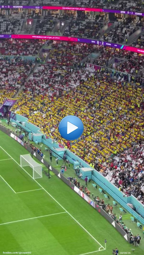 Queremos cerveza. (We want beer)  Ecuador fans singing what we're all thinking  : @javierlanza0:111.6M views