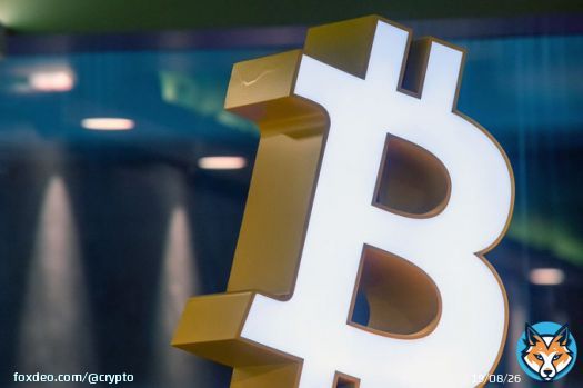 The creators behind Bored Ape Yacht Club, one of the most successful nonfungible-token projects to date, is launching its first collection of Bitcoin NFTs