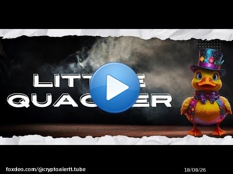 \u2705  LittleQuacker  \ud83e\udd86 تم انشاء عملة رقمية  على شبكة Solana  \ud83e\udd86