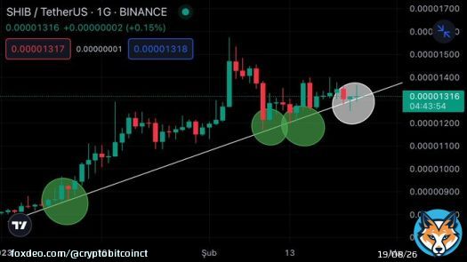 #SHIB As long as the uptrend is not broken, a sharp rise can come, it can be tried with a 3% stop loss.    We continue to win.   #Bitcoin&nbsp;#Floki $Shib $Shiba #SHIBA #ACH #DOGE #Binance&nbsp;#Ceek #LUNA #Borsa #Kripto #Altcoin #Crypto