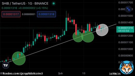 #SHIB As long as the uptrend is not broken, a sharp rise can come, it can be tried with a 3% stop loss.    We continue to win.   #Bitcoin&nbsp;#Floki $Shib $Shiba #SHIBA #ACH #DOGE #Binance&nbsp;#Ceek #LUNA #Borsa #Kripto #Altcoin #Crypto