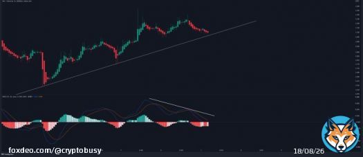 #Synthetix $SNX on 1 HR timeframe.   Price action traders could wait for a bounce or a breakdown confirmation.  #Bitcoin #Crypto #altcoins