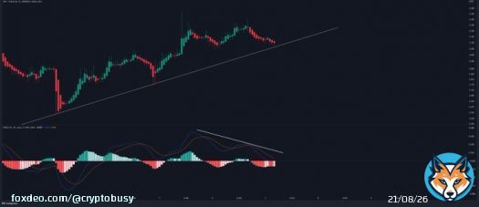 #Synthetix $SNX on 1 HR timeframe.   Price action traders could wait for a bounce or a breakdown confirmation.  #Bitcoin #Crypto #altcoins