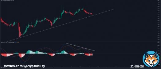 #Synthetix $SNX on 1 HR timeframe.   Price action traders could wait for a bounce or a breakdown confirmation.  #Bitcoin #Crypto #altcoins