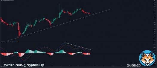 #Synthetix $SNX on 1 HR timeframe.   Price action traders could wait for a bounce or a breakdown confirmation.  #Bitcoin #Crypto #altcoins
