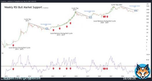 The line is drawn in the sand  #Bitcoin Bears vs Bulls  The Weekly RSI has perfectly retested the absolute bottom bull market support, down from 56 to 54 RSI  Bullish supports unite: - 200 Week MA - 111 Day MA - Weekly RSI  I'm team bull, support youur team in the comments