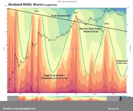 The #Bitcoin Realized HODL Waves show beautifully just how early we are in the cycle  The curve is starting to shift, as we leave the cycle bottom in the past and bring on newer holders  A powerful bull run lies ahead, if you can wait for it...  Bearish sentiment cannot survive!