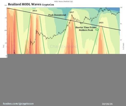 The #Bitcoin Realized HODL Waves show beautifully just how early we are in the cycle  The curve is starting to shift, as we leave the cycle bottom in the past and bring on newer holders  A powerful bull run lies ahead, if you can wait for it...  Bearish sentiment cannot survive!