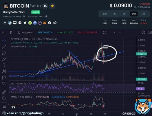 Did we just reclaim the most reliable and bullish trend line possible? The answer is yes. Yes we did. Strap in, fellas.  #HarryPotterObamaSonic10Inu