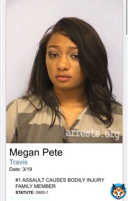 You showing me videos of ToryLanez defending himself that have NOTHING to do with the night in question! However since you want to bring up people's violent past then why are you ignoring Megan Thee Stallion's violence? You know the one that she actutually got arrested for
