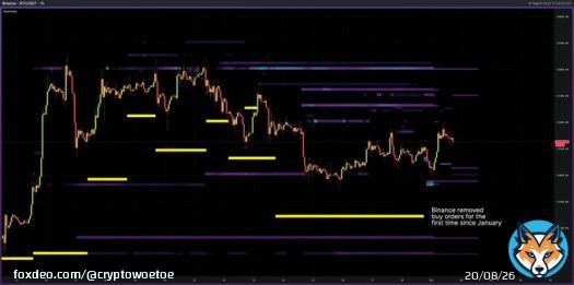 Something interesting I stumbled upon looking at the heatmap of #Bitcoin on Binance (BTC/USDT). This is the first time since the beginning of January that they have completely removed large buy walls without replacing them on a different level.   What do you think this means?