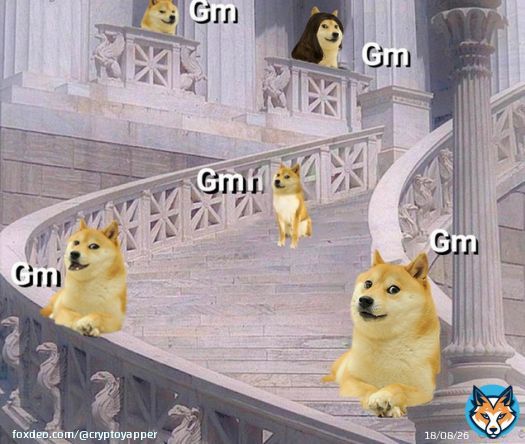 GM #Crypto frens!  How you all feeling after the #FOMC rate hike decision of yesterday?