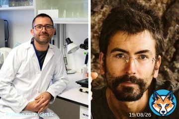 El CSIC consigue dos proyectos  ERC Consolidator Grant El @icmabCSIC empleará una técnica innovadora para mapear procesos tumorales Desde el @ipnacsic  crearán un modelo de gobernanza multiespecie centrada en las relaciones entre humanos y gatos