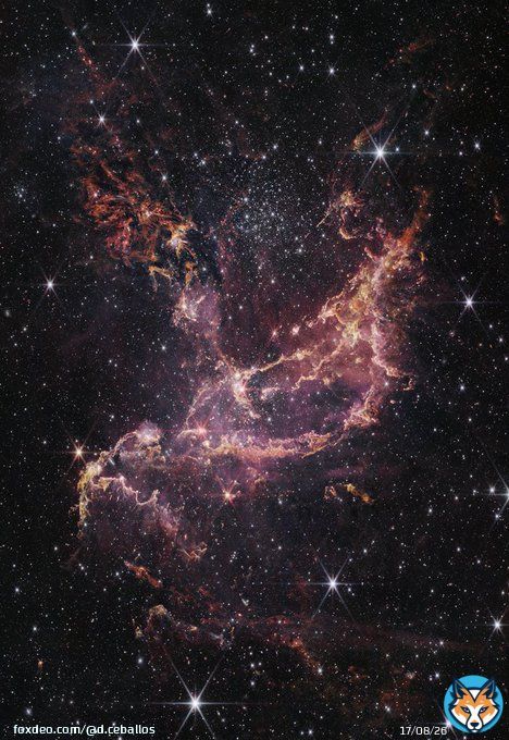 Young Star Cluster NGC 346  #space #nasa