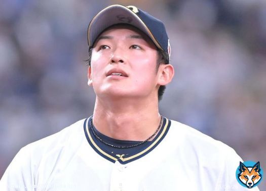 オリックス「吹田の主婦」に友達出現　「芦屋のマダム」/野球/デイリースポーツ online  #侍ジャパン #プロ野球 #NPB #DailySports