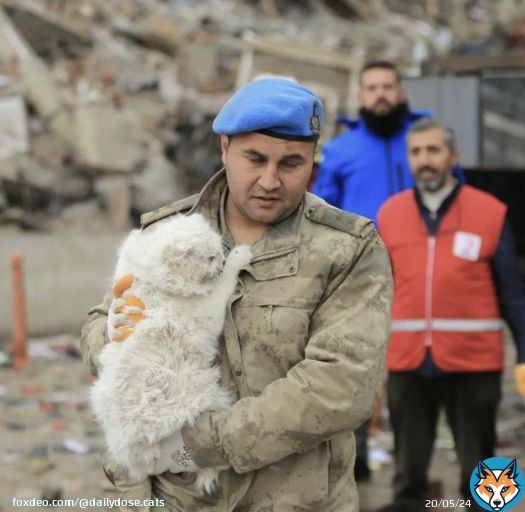 Turkish first lieutenant saving cat in Turkey earthquake