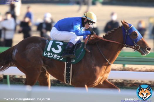 2023年1月29日　第37回根岸S（GⅢ）　東京ダート1400ｍ　優勝　レモンポップ〔戸崎圭太〕　タイム1.22.5 好位にいたレモンポップが直線で早めに抜けだして先頭に立ち追い込むギルデッドミラーを半馬身抑えて優勝！ #根岸S #レモンポップ #戸崎圭太 #田中博康