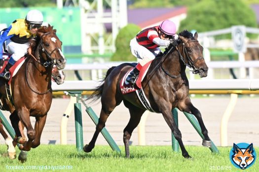 目黒記念 ウインキートス