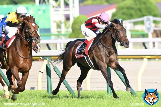 目黒記念 ウインキートス