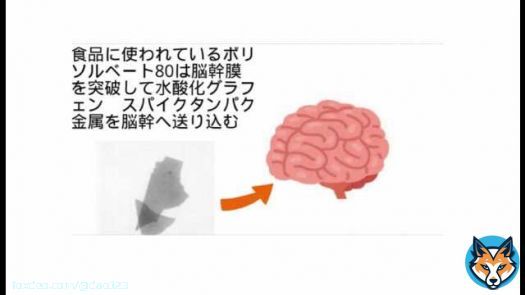 死因非公開ということで　やはり自\u25cbと推察してしまう　大阪の漫才コンビ「青空」須藤理恵さん死去　45歳　毒性物質脳幹膜突破で自死促進、　   #sm42270264 #ニコニコ動画