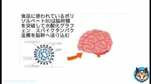 死因非公開ということで　やはり自\u25cbと推察してしまう　大阪の漫才コンビ「青空」須藤理恵さん死去　45歳　毒性物質脳幹膜突破で自死促進、　   #sm42270264 #ニコニコ動画
