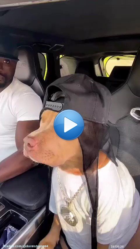 Josh Allen whenever the Bills play the Patriots:   #BillsMafia #TNFonPrime #Pats