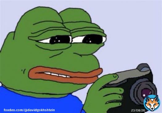 We just saw a media outlet in our own industry &mdash; that is run by a bunch of #Bitcoin maxis, open up a Twitter Spaces today to talk down $PEPE to get a better entry position.   We see you.
