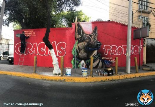 A mural in State of Mexico is up honoring Proteo, the rescue dog that died searching for survivors of the Turkey earthquakes