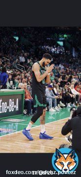 If u for real a Boston Celtics fan u will understand that even tho we lost 2 str8 we will bounce back and that we #BleedGreen and ups or downs this is our team to take it