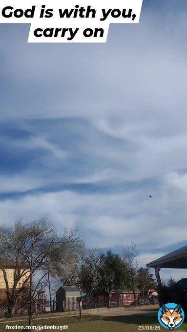 Gratefulness  vlog below (se link) #atxlife #austinhome #austinweather #vlog