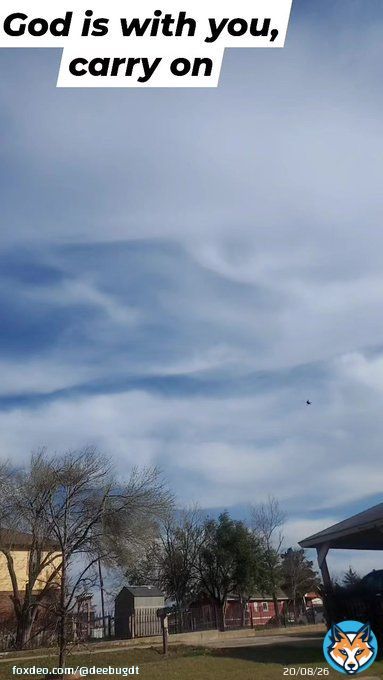 Gratefulness  vlog below (se link) #atxlife #austinhome #austinweather #vlog