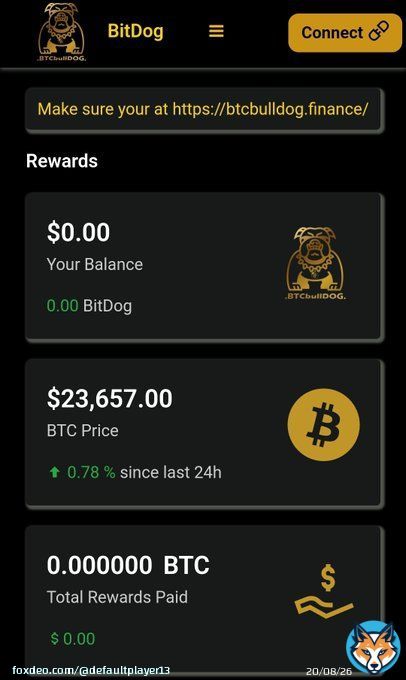 #BITDOG #BTCBULLDOG @btc_bulldog    dApp is working now  Earn $BTC + $BITDOG with holding #BITDOG   Lowcap Memecoin arround 123k MC  ATH MC arround 880k    Join now and earn BTC+BITDOG    NFA DYOR  #ShibaInu #Dogecoin #memecoin #BNB #eth #Crypto