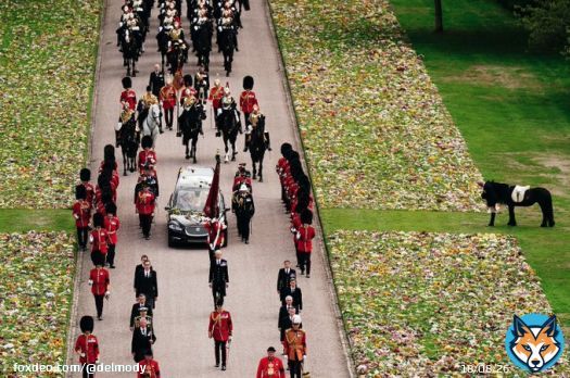 Emma, the Queen's fell pony, stands as the Ceremonial Procession of the coffin of Queen Elizabeth II arrives at Windsor Castle for the Committal Service at St George's Chapel  #queensfuneral #QueenElizabethII @PA
