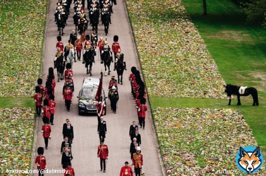 Emma, the Queen's fell pony, stands as the Ceremonial Procession of the coffin of Queen Elizabeth II arrives at Windsor Castle for the Committal Service at St George's Chapel  #queensfuneral #QueenElizabethII @PA