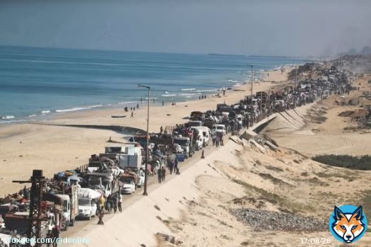 نكبة 2025 عْزة .