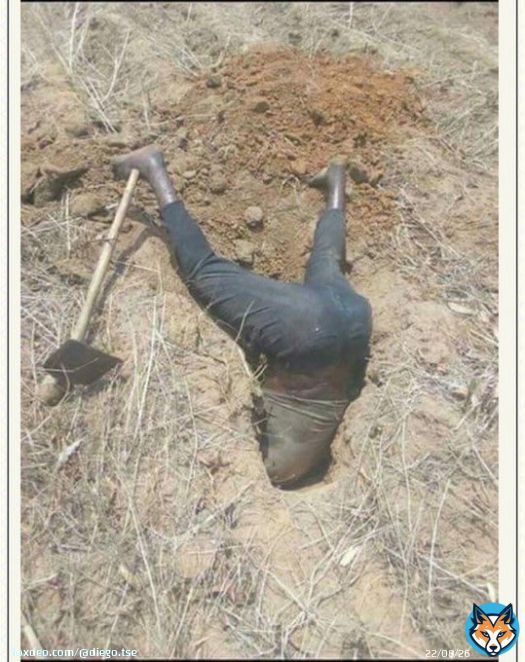 APC  supporters looking for fake news & digging horrible questionable propagandas against the people's incoming president Peter Gregory Obi.   Una go tire   Ebuka | #SaiObi | Olu of Wari | Only Girl | Qudus | Yusuf Alabi | #sundayvibes
