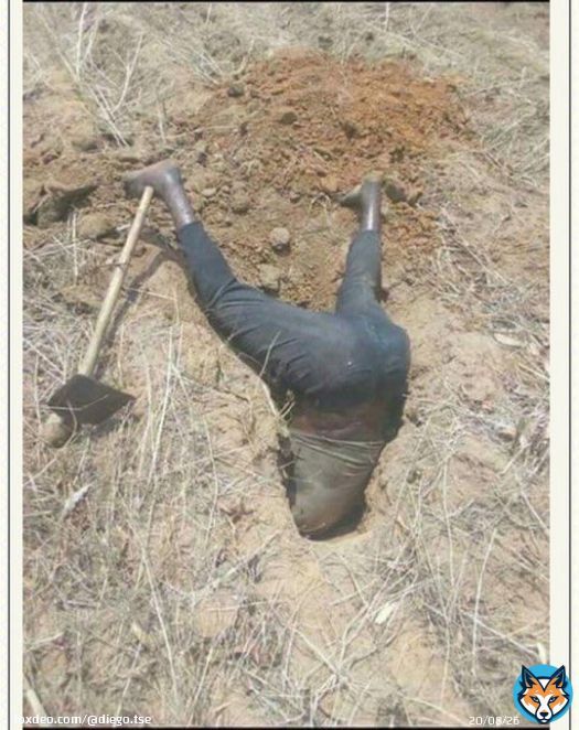 APC  supporters looking for fake news & digging horrible questionable propagandas against the people's incoming president Peter Gregory Obi.   Una go tire   Ebuka | #SaiObi | Olu of Wari | Only Girl | Qudus | Yusuf Alabi | #sundayvibes