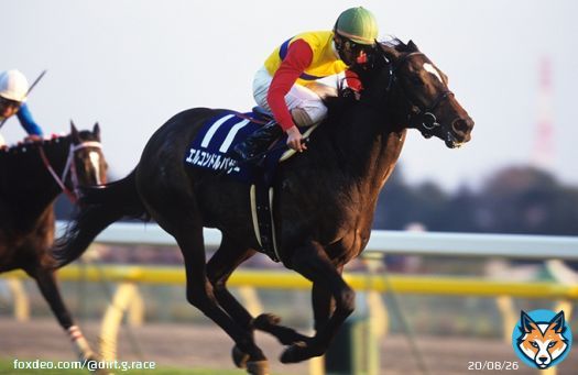 そうですか、、、 ２着を取ったエルコンドルパサーと オルフェーヴルの時は今日よりも 更に重い馬場だったとか&hellip; ダート実績\u25ceのエルコンドルパサー 産駒がダートで走ってるオルフェーヴル  砂適正だけとは言いませんが この辺がカギかもしれませんね&hellip;  #凱旋門賞