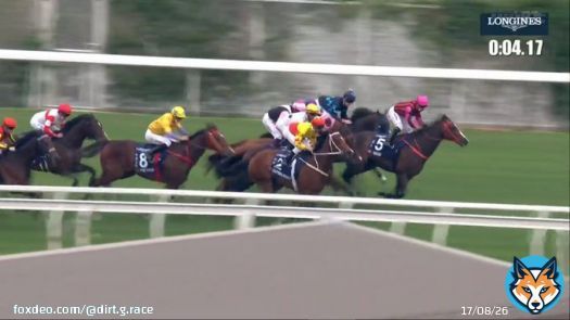#香港マイル カリフォルニアスパングルが制覇 ゴールデンシックスティは 2着まで、3連勝はストップです 日本勢は&hellip;上位争いに加われず&hellip;  香港のレース、なんだか騙馬が多いのですが なぜでしょうか？