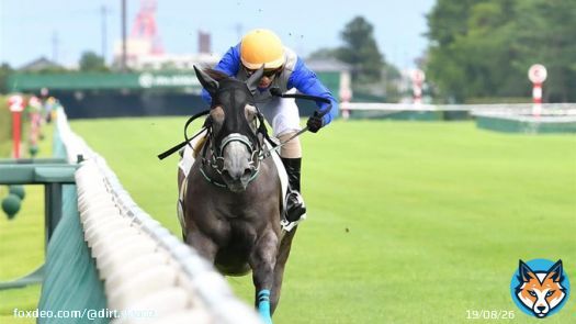 コールドムーンステークス制覇の リフレイムさん ・パドックで寝ようとする ・パドックはいつも最後尾 ・返し馬で外ラチに目線でファンサ ・外に寄れても強い ・芝＆砂のＯＰを制覇 ・獲得賞金1億超え かわいくて強いんですよね