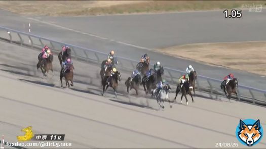 コールドムーンステークス #リフレイム 外へ外へ寄りながらも 3～4馬身の圧勝でした 野中騎手が中京初勝利 リフレイムはダート4戦目で初勝利 現役きっての個性派だそうですよ  これは、ダートグレード競争でも 良い走りが見れそうですね\u266a どれだけ外を走ってるかは 4枚目の画像を参照ください