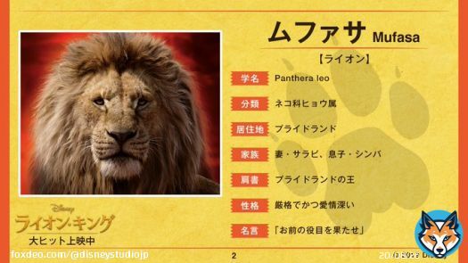 ＜#超実写ライオンキング 図鑑＞  File2：ムファサ  プライドランドの偉大な王で、#シンバ の父親でもある #ムファサ を大研究  ＜ライオン・キングマスター＞を目指せ  『#ライオンキング』大ヒット上映中